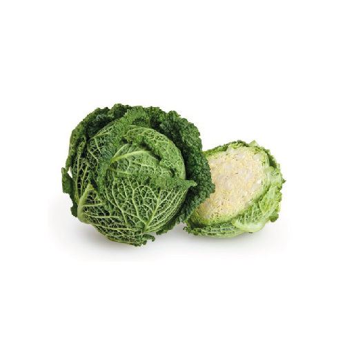 CAVOLO VERZA RICCIA